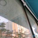 명진약품 | 전면 유리창 정기 청소는 반짝반짝청소! feat. 하소동 명진동물병원