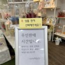 프리저브드 플라워 | 전지현플라워 예쁜생화부케있는 제주꽃집 제주프리저브드플라워 시들지않는꽃 후기