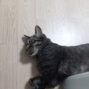 딱조아PC방 이미지