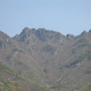 금계초등 이미지