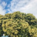 천서농장 이미지