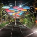 청도레일바이크 이미지