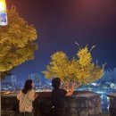 마실한바꾸 이미지