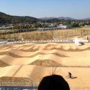 인천광역시 강화아시아드BMX경기장 네이버블로그