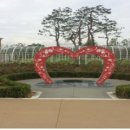 금강수변공원(보람동) 이미지