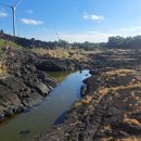 좌가연대 이미지