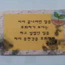 은세계