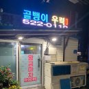 황금실내마차 이미지