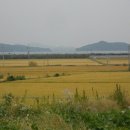 외포리버스터미널 이미지