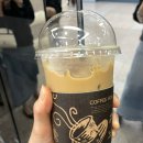 라비타돌체 이미지