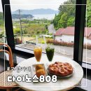 다이노스808 이미지