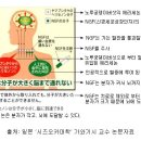 장수약용버섯