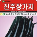 진주장 이미지