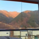 골든파인펜션 이미지