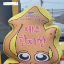연재 [제주 보름살기 +3] 13편 굿바이 제주 용연구름다리 한치빵과 렌트카 반납, 바이오인증까지