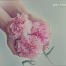 수일로191번길 | 부모님 위한 장안구 요양원 추천 효행노인전문요양원 전문 요양 서비스 제공