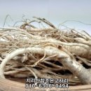 조은선물 이미지