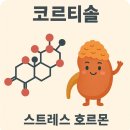 하루에 멍 이미지
