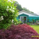 신정호야외음악당 이미지