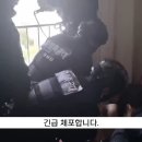 경찰특공대에 제압되는 택배절도범.gif 이미지