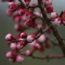 이레펜션 이미지