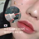 브리키 | 무크 202 브리키 후기 벨벳틴트 데일리로 딱인 블러틴트