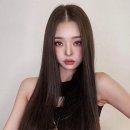 프리지아A 이미지