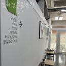 킴스동물병원 | 강북구 도봉동 동물병원 김미경동물병원 위치 오는길 후기