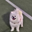 토아빈 이미지
