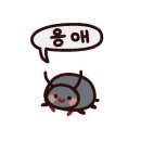 제주역 이미지