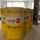 365일매일가스