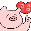 부부바지락칼국수