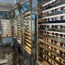 라운드투안경 울산태화점 이미지