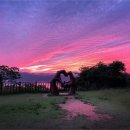 거제지심도 이미지