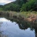 연못으로 이미지