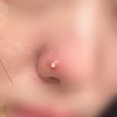 바라던바다대게&새우 | 리마 마지막 날 ... 페루여행 끝