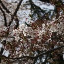 중문에코 이미지