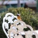 사랑이 머무는 둥지 이미지