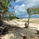 하나태평양약국 이미지