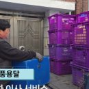 대풍인력