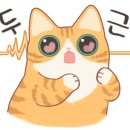 부엌뜨란채 이미지