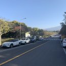 제주댁 농장 | 제주 사라봉 공항 근처 가볼만한 오름 feat.팔자 좋은 토끼