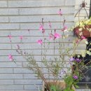 동동공인중개사사무소 이미지