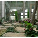 본느마망 산후조리원 이미지