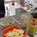 (주)강남투어 이미지