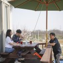 살구꽃가든 이미지