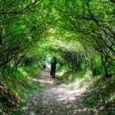 태산목장 이미지