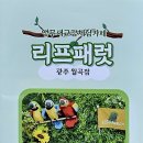 리프패럿광주 - 북구 하서로483번길 8 | 리프패럿광주