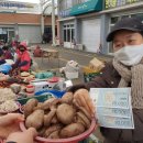 벌교오일시장2 이미지