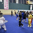 합기도·우슈 정도관 이미지